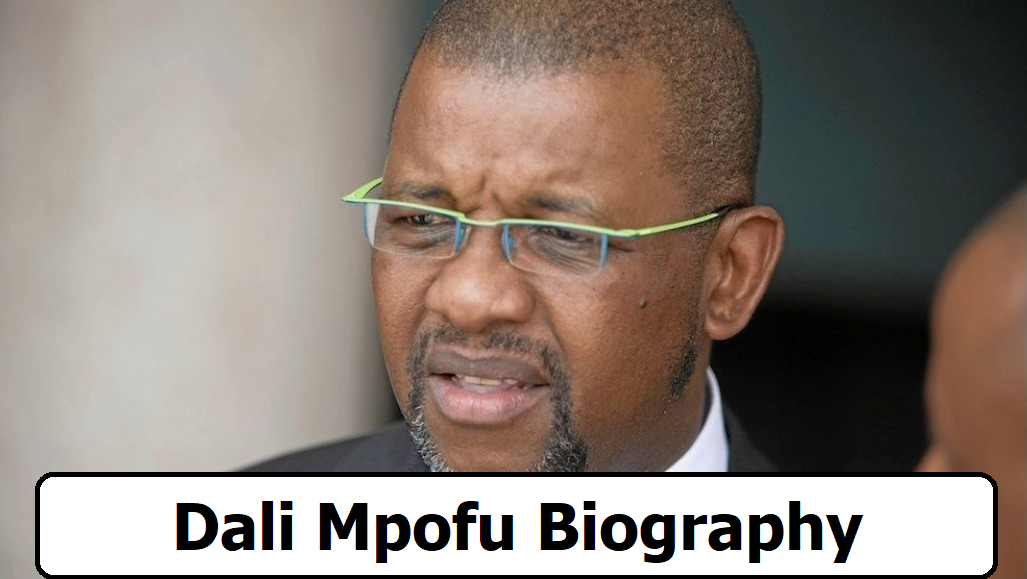 Dali Mpofu Biography